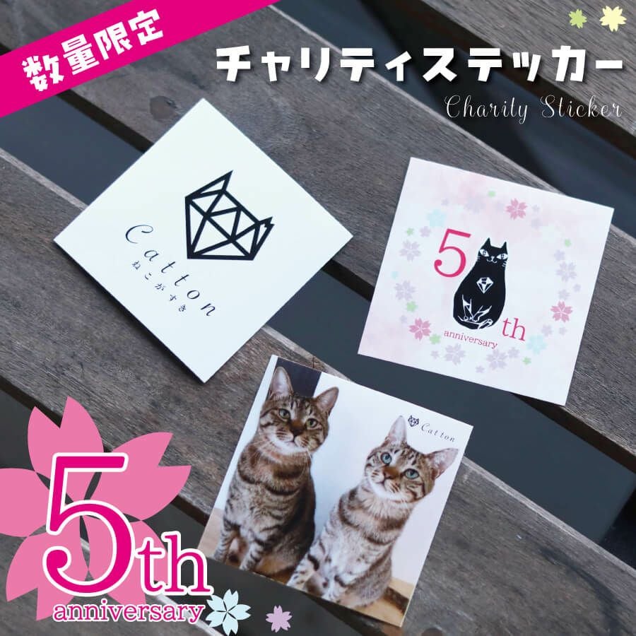 第二弾】Cattonオリジナルステッカー | Cattonオンラインショップ