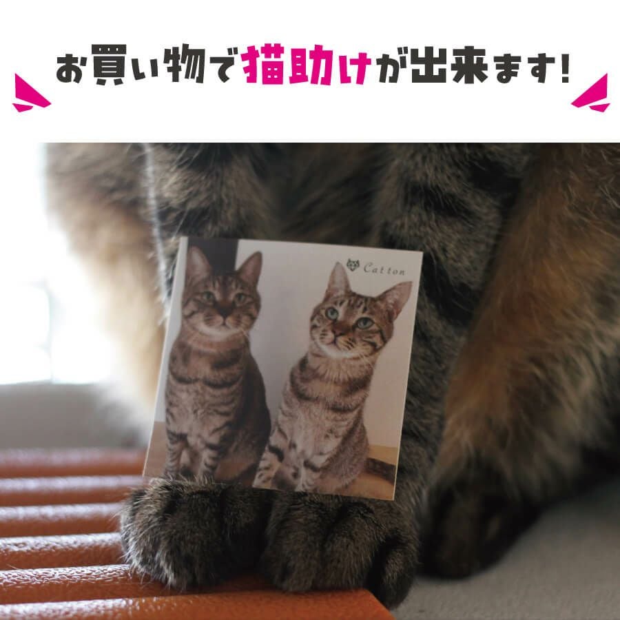 キャサリンコテージ 猫 コメント返信不可値下げ交渉はブロックします。ごめんなさい 第二弾】Cattonオリジナルステッカー | Cattonオンラインショップ