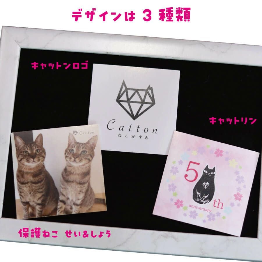 第二弾】Cattonオリジナルステッカー | Cattonオンラインショップ